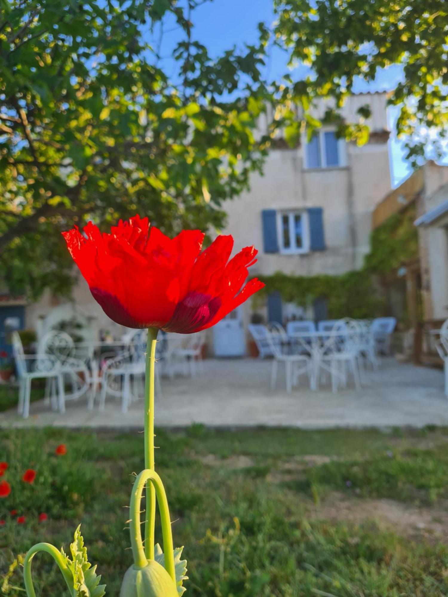 La Ferme Constantin Villa Fayence Camera foto